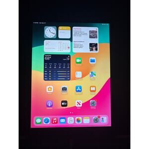 Apple iPad 6th Generation 32GB WiFi + Cellular Silver 9.7in iPadOS 17 Tested